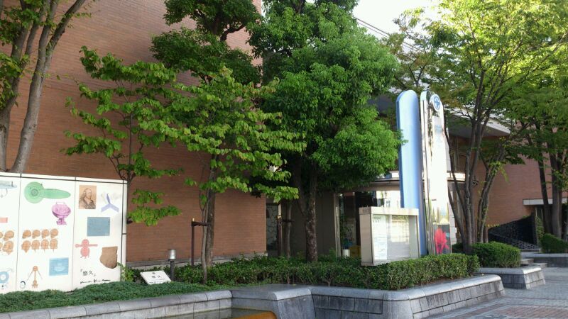 中央図書館の写真